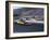 Drag Racing, Denver, Colorado, USA-null-Framed Photographic Print