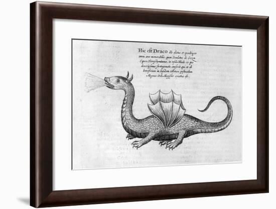 Dragon, 1678-Athanasius Kircher-Framed Giclee Print