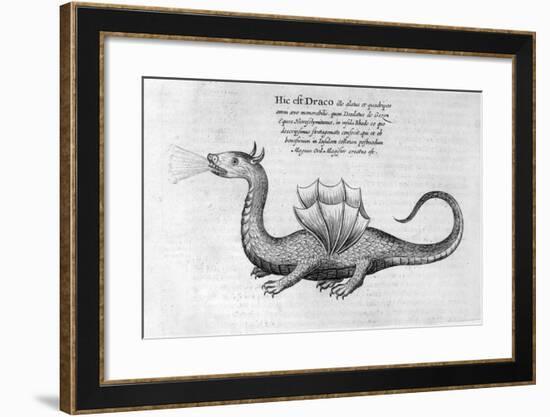 Dragon, 1678-Athanasius Kircher-Framed Giclee Print