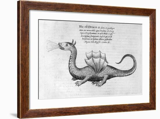 Dragon, 1678-Athanasius Kircher-Framed Giclee Print