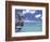 Dragon Boat, Okinawa, Japan-Dave Bartruff-Framed Photographic Print