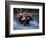 Dragon Boat Race at Miao People's Festival, China-Keren Su-Framed Photographic Print