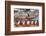 Dragon Boat Race, Shau Kei Wan, Hong Kong Island, Hong Kong-Ian Trower-Framed Photographic Print