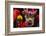 Dragon Dance Celebrating Chinese New Year in China Town, Manila, Philippines-Keren Su-Framed Photographic Print