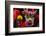 Dragon Dance Celebrating Chinese New Year in China Town, Manila, Philippines-Keren Su-Framed Photographic Print