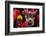 Dragon Dance Celebrating Chinese New Year in China Town, Manila, Philippines-Keren Su-Framed Photographic Print