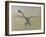 Dragon fly, 2009-Odile Kidd-Framed Giclee Print