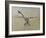 Dragon fly, 2009-Odile Kidd-Framed Giclee Print