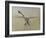 Dragon fly, 2009-Odile Kidd-Framed Giclee Print