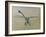 Dragon fly, 2009-Odile Kidd-Framed Giclee Print