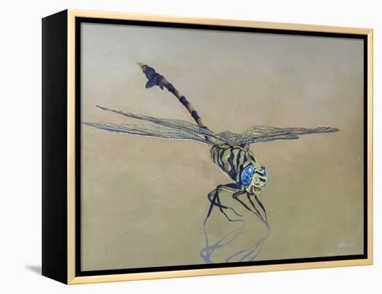Dragon fly, 2009-Odile Kidd-Framed Premier Image Canvas