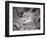 Dragon Head, Kyoto, Japan-Shin Terada-Framed Photographic Print