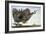 Dragon in Flight, 1979-Wayne Anderson-Framed Giclee Print