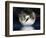 Dragon Moon-Julie Fain-Framed Art Print