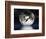 Dragon Moon-Julie Fain-Framed Art Print