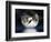 Dragon Moon-Julie Fain-Framed Premium Giclee Print