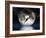 Dragon Moon-Julie Fain-Framed Art Print