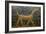 Dragon of Marduk, on the Ishtar Gate, Neo-Babylonian, 604-562 BC-null-Framed Giclee Print