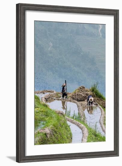 Dragon Spine Rice Terraces Longsheng, China-Michael DeFreitas-Framed Photographic Print