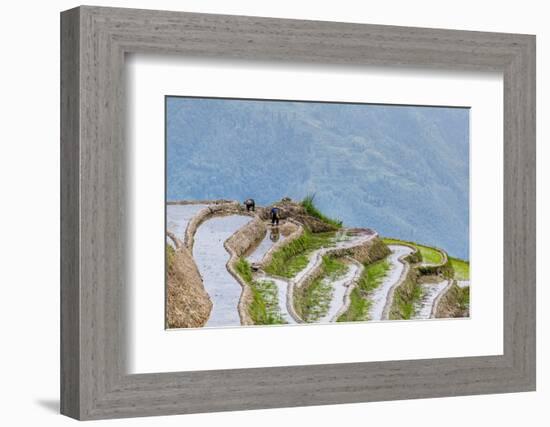 Dragon Spine Rice Terraces Longsheng, China-Michael DeFreitas-Framed Photographic Print