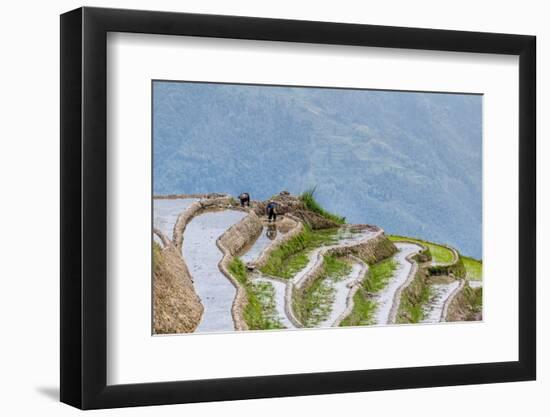 Dragon Spine Rice Terraces Longsheng, China-Michael DeFreitas-Framed Photographic Print