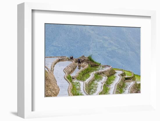 Dragon Spine Rice Terraces Longsheng, China-Michael DeFreitas-Framed Photographic Print