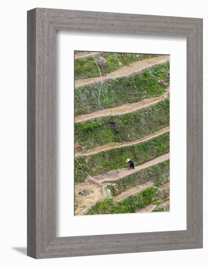 Dragon Spine Rice Terraces, Longsheng, China-Michael DeFreitas-Framed Photographic Print