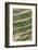 Dragon Spine Rice Terraces, Longsheng, China-Michael DeFreitas-Framed Photographic Print