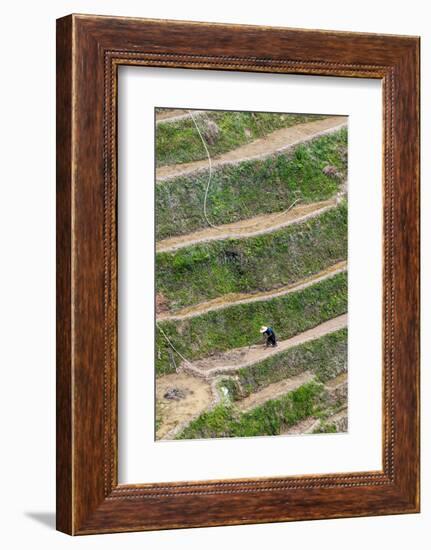 Dragon Spine Rice Terraces, Longsheng, China-Michael DeFreitas-Framed Photographic Print