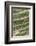 Dragon Spine Rice Terraces, Longsheng, China-Michael DeFreitas-Framed Photographic Print