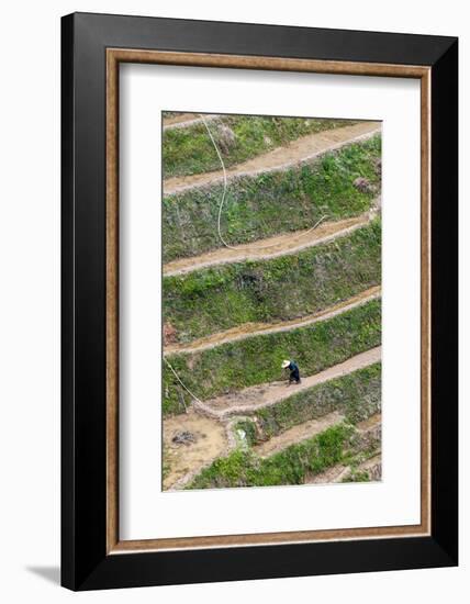 Dragon Spine Rice Terraces, Longsheng, China-Michael DeFreitas-Framed Photographic Print