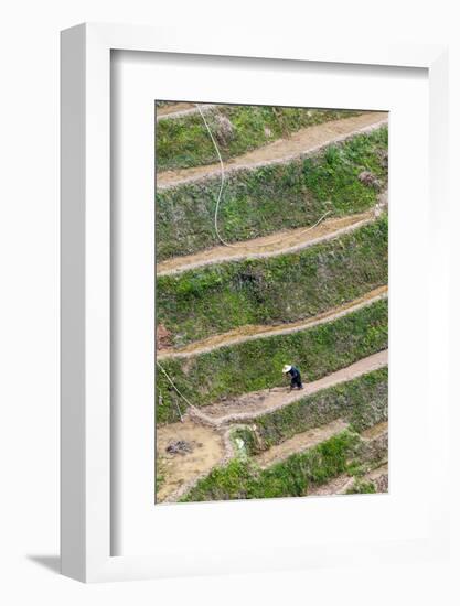 Dragon Spine Rice Terraces, Longsheng, China-Michael DeFreitas-Framed Photographic Print