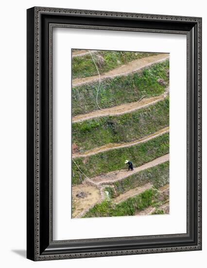 Dragon Spine Rice Terraces, Longsheng, China-Michael DeFreitas-Framed Photographic Print