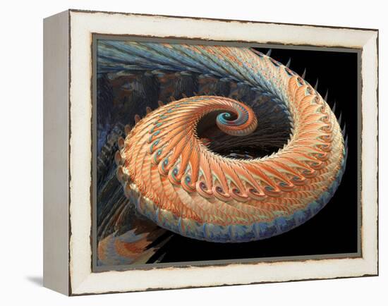 Dragon Tail Fractal-Laguna Design-Framed Premier Image Canvas