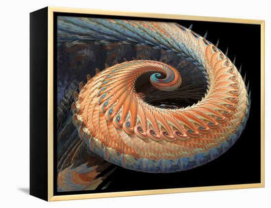 Dragon Tail Fractal-Laguna Design-Framed Premier Image Canvas