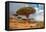 Dragon Trees at Dixam Plateau, Socotra Island, Yemen-javarman-Framed Premier Image Canvas