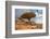 Dragon Trees at Dixam Plateau, Socotra Island, Yemen-javarman-Framed Photographic Print