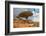 Dragon Trees at Dixam Plateau, Socotra Island, Yemen-javarman-Framed Photographic Print