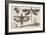 Dragonflies and a Bumble Bee-Wenceslaus Hollar-Framed Giclee Print