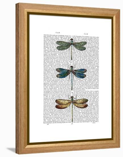 Dragonflies Print 1-Fab Funky-Framed Stretched Canvas