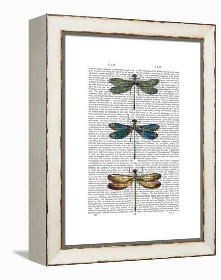 Dragonflies Print 1-Fab Funky-Framed Stretched Canvas