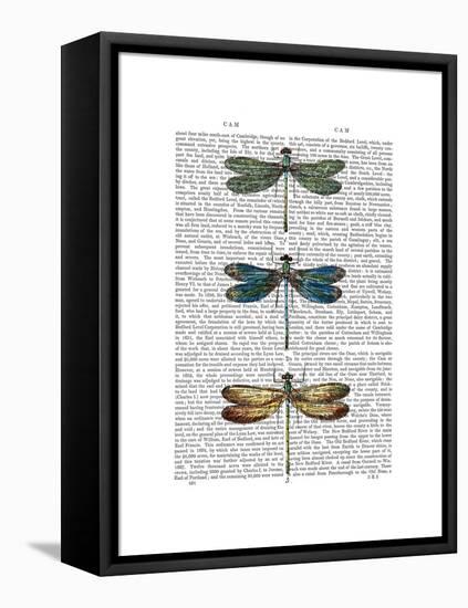 Dragonflies Print 1-Fab Funky-Framed Stretched Canvas