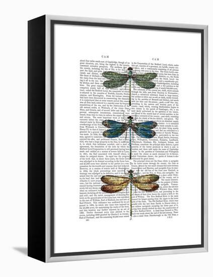 Dragonflies Print 1-Fab Funky-Framed Stretched Canvas