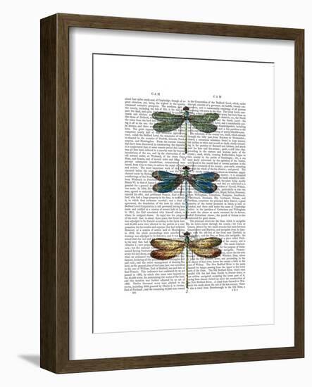 Dragonflies Print 1-Fab Funky-Framed Premium Giclee Print