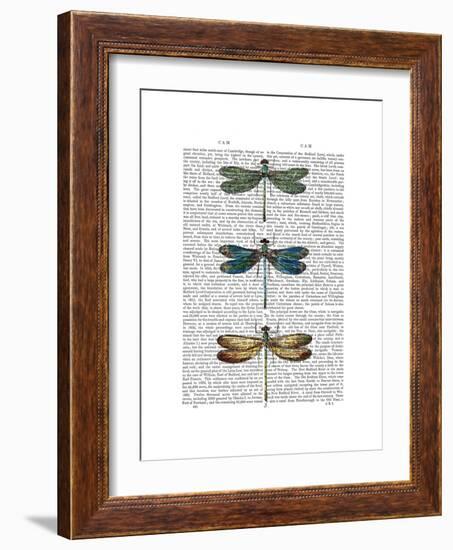 Dragonflies Print 1-Fab Funky-Framed Premium Giclee Print