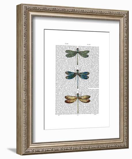 Dragonflies Print 1-Fab Funky-Framed Art Print