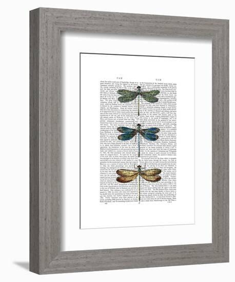 Dragonflies Print 1-Fab Funky-Framed Art Print