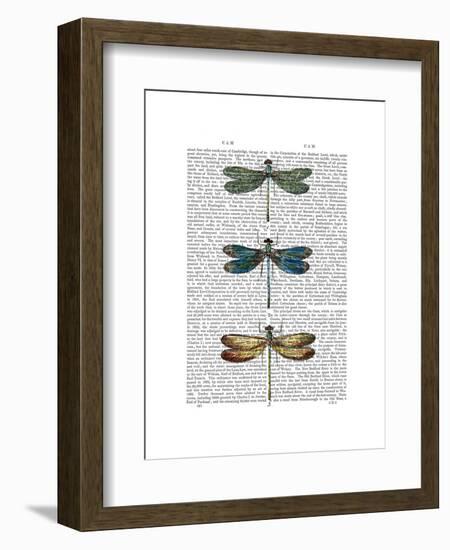 Dragonflies Print 1-Fab Funky-Framed Art Print