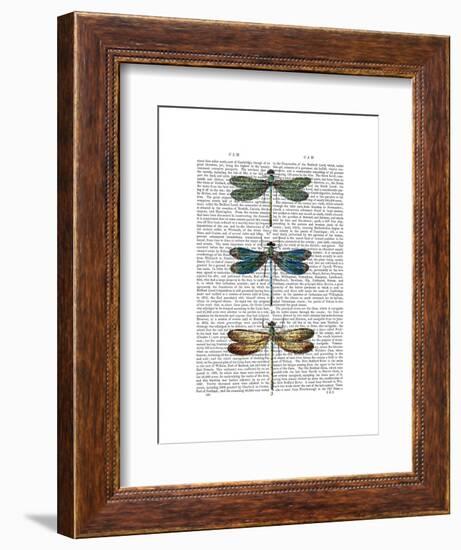 Dragonflies Print 1-Fab Funky-Framed Art Print