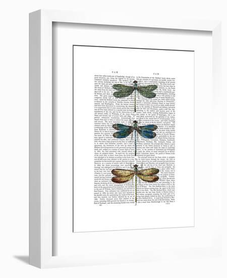 Dragonflies Print 1-Fab Funky-Framed Art Print